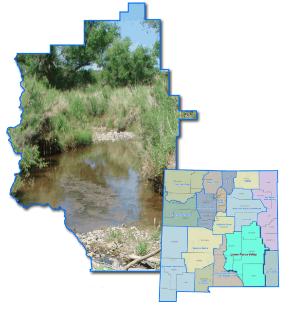 Region 10 - Lower Pecos Valley 