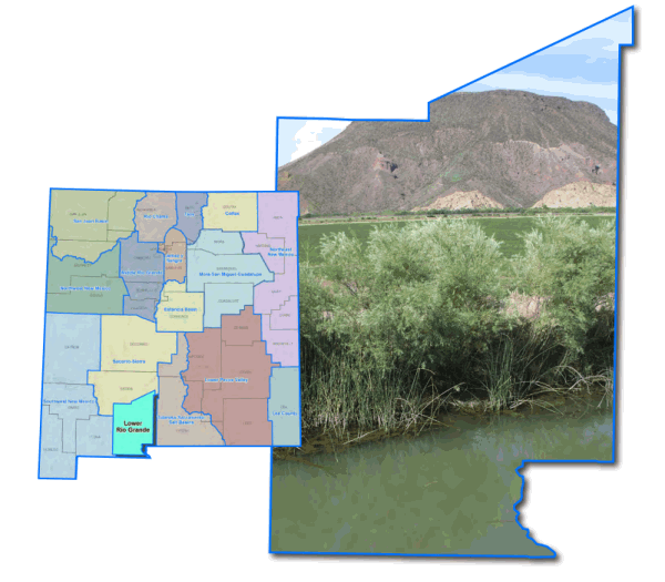 Region 11 - Lower Rio Grande Regional Water Plan